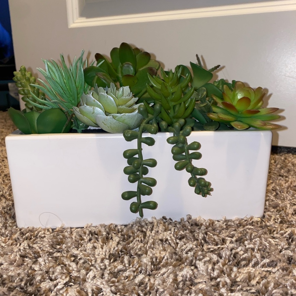 Fake succulent arrangement